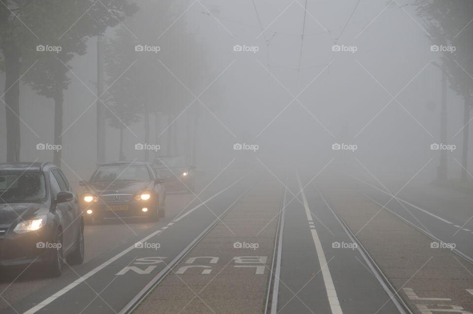 Mist On The Road