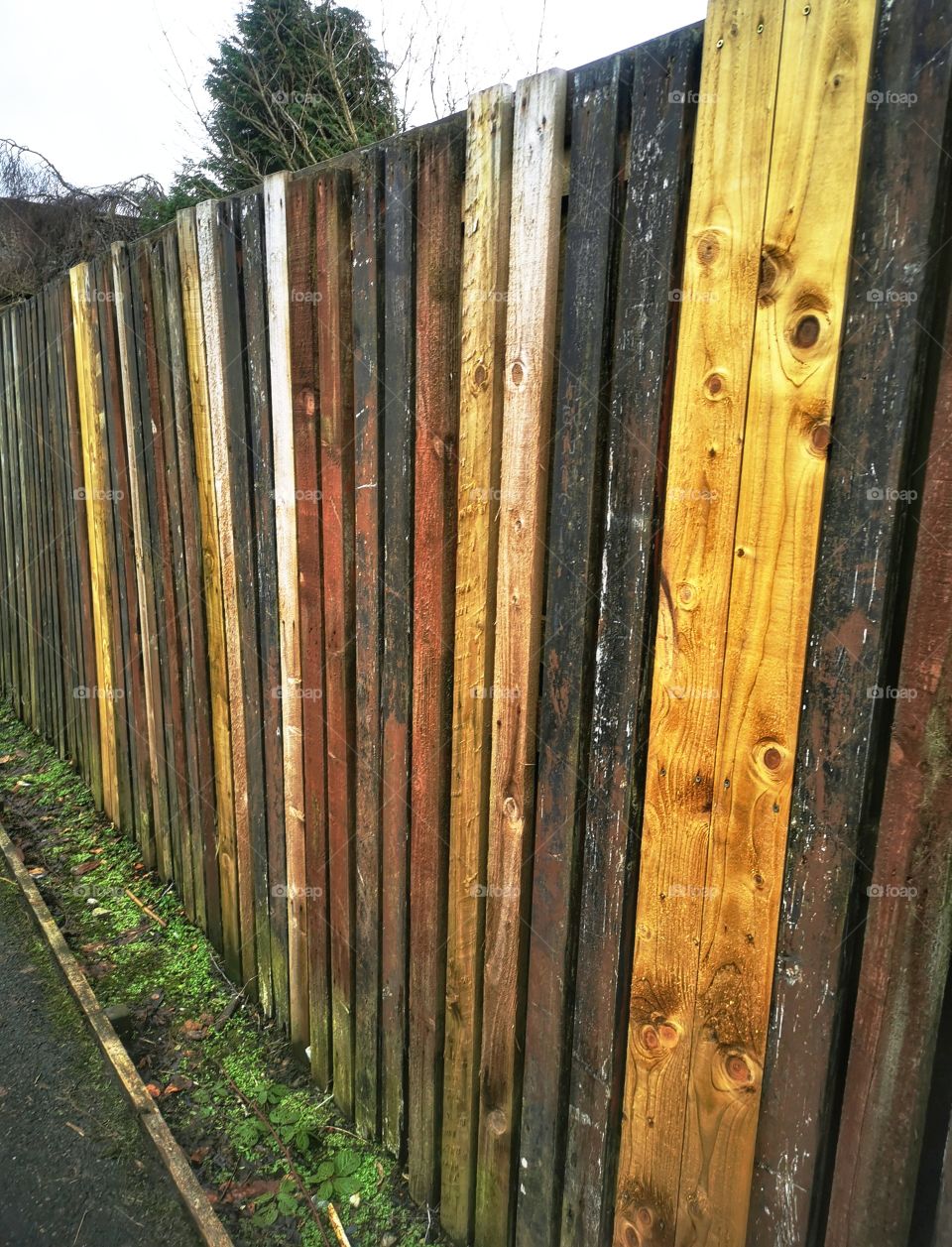 Different colour fence