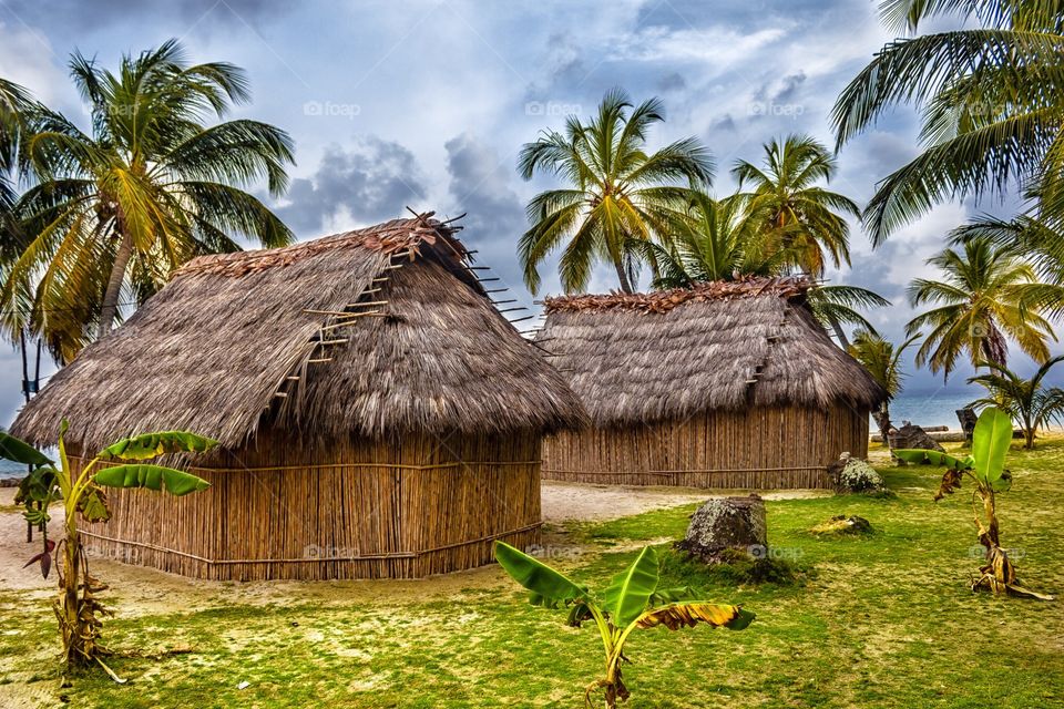 Indigenous homes in an island
