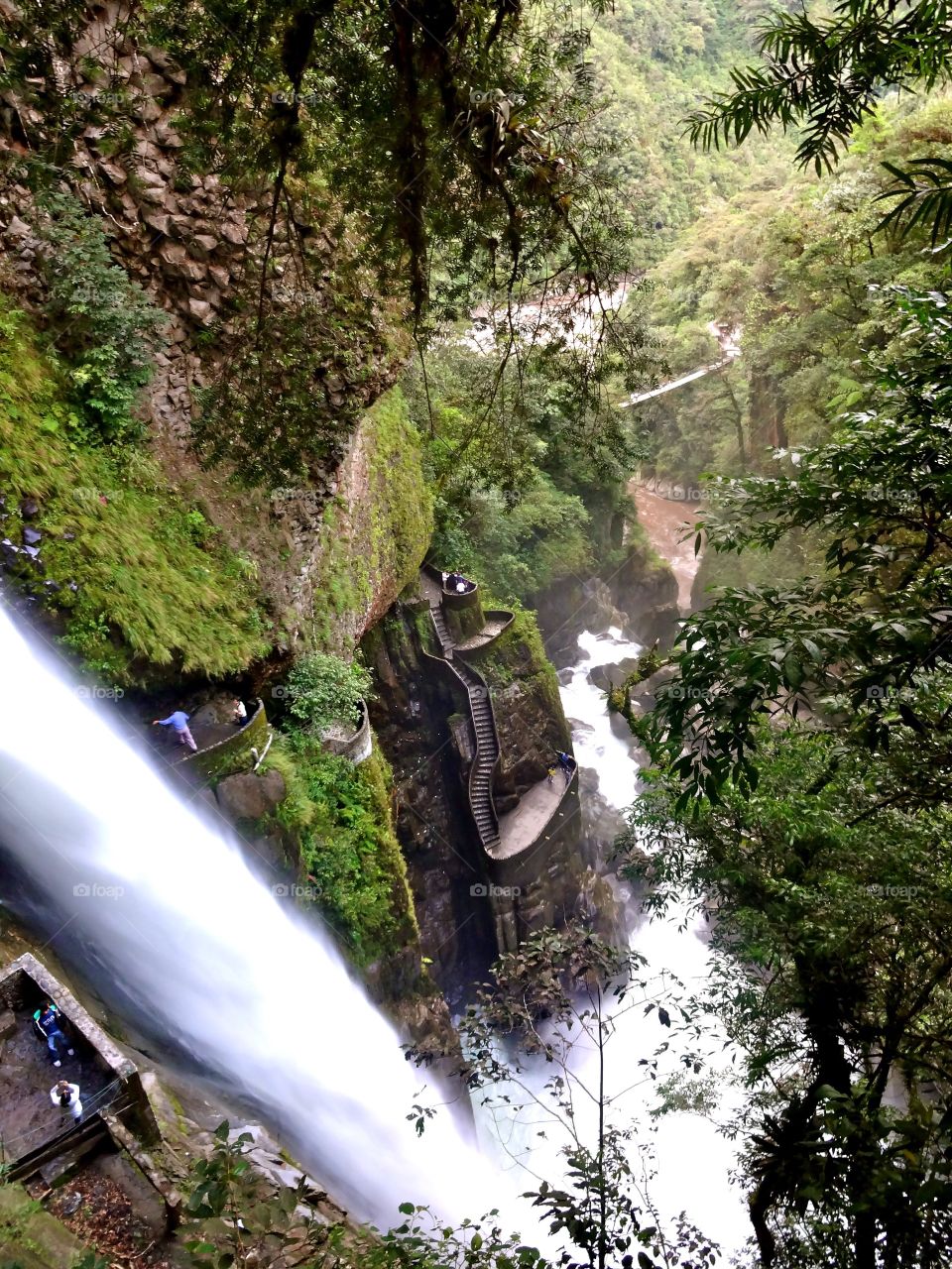 Hiking in the Amazon Basin 