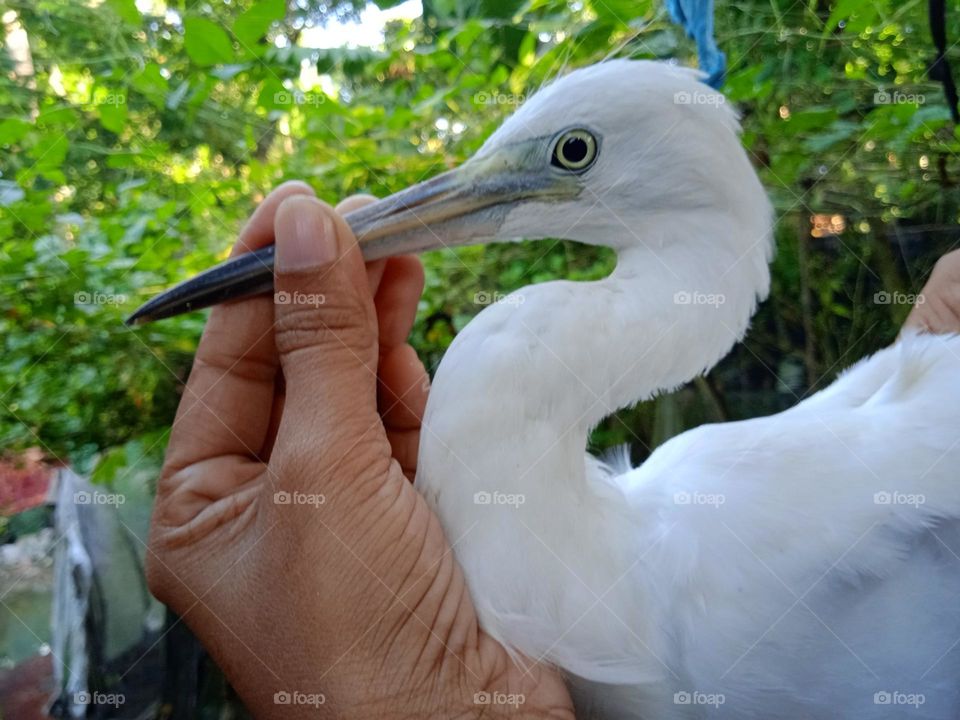 Editors' Choice:Photo of the week