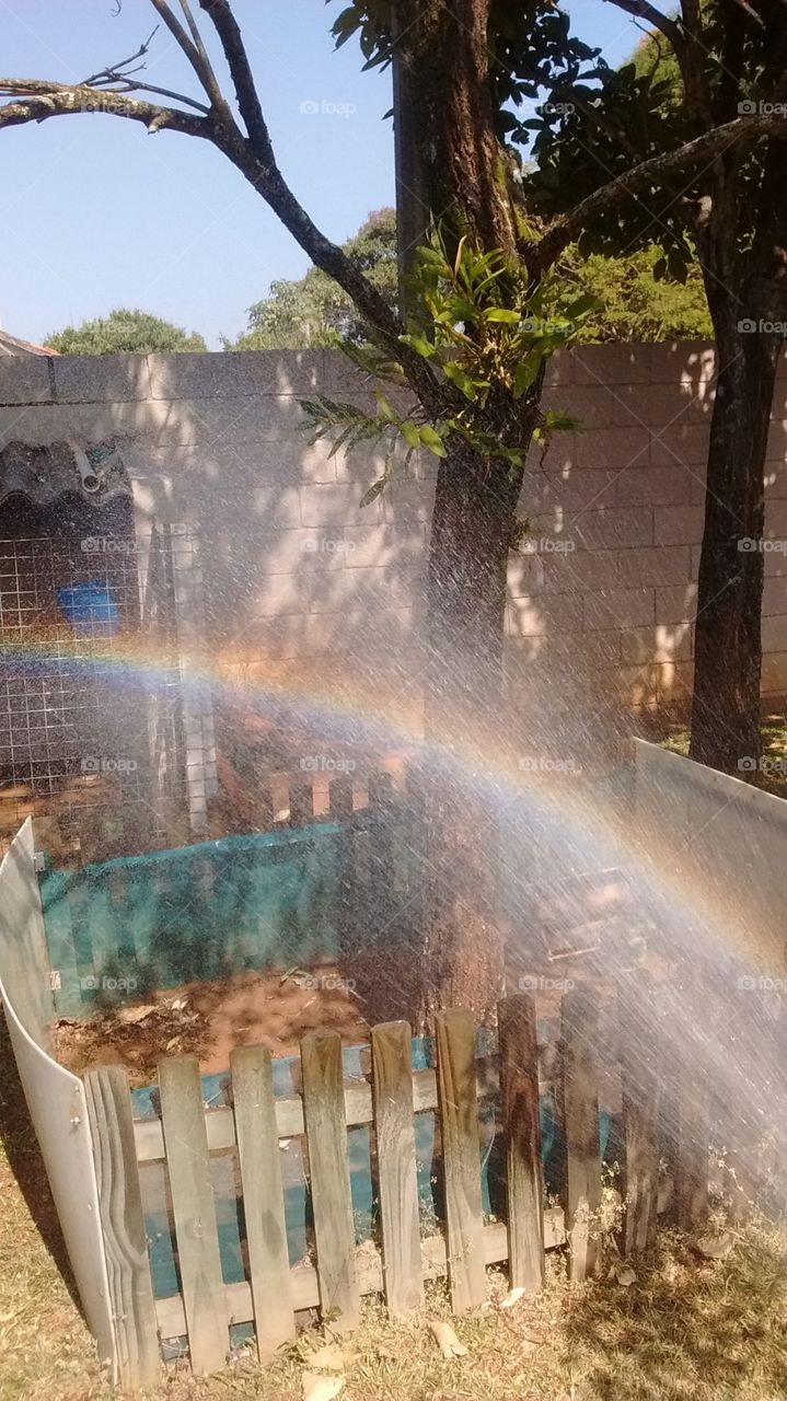 O arco íris em nosso jardim!