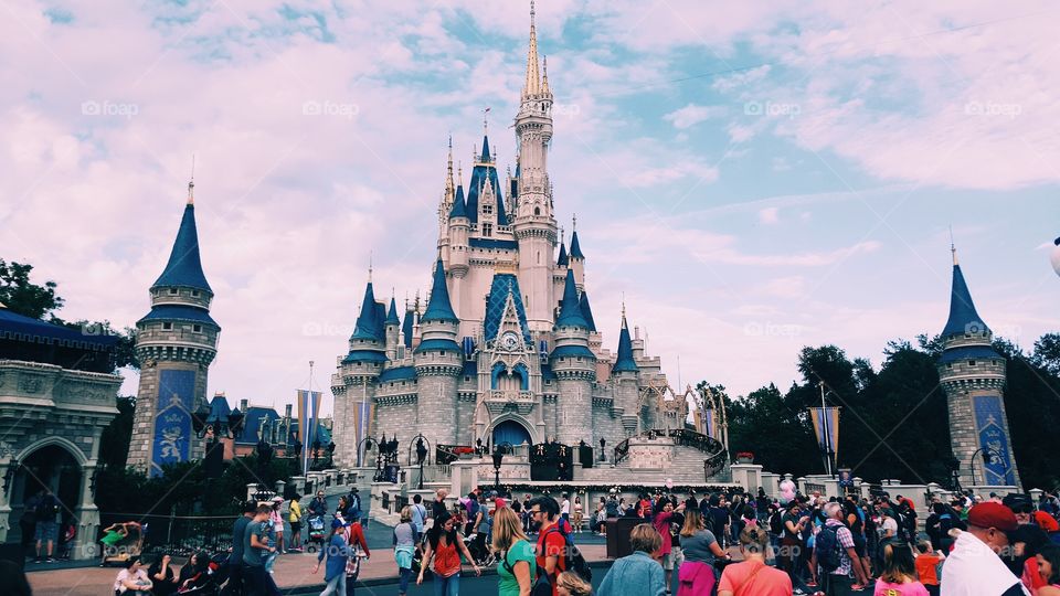 Disney Castle 🏰