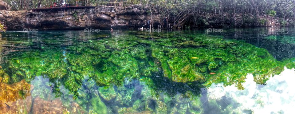 Cenote eden. My trip