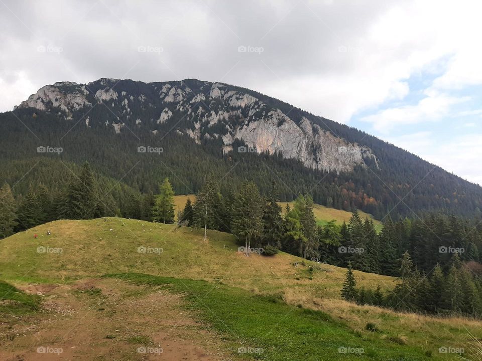 mountains in the winter