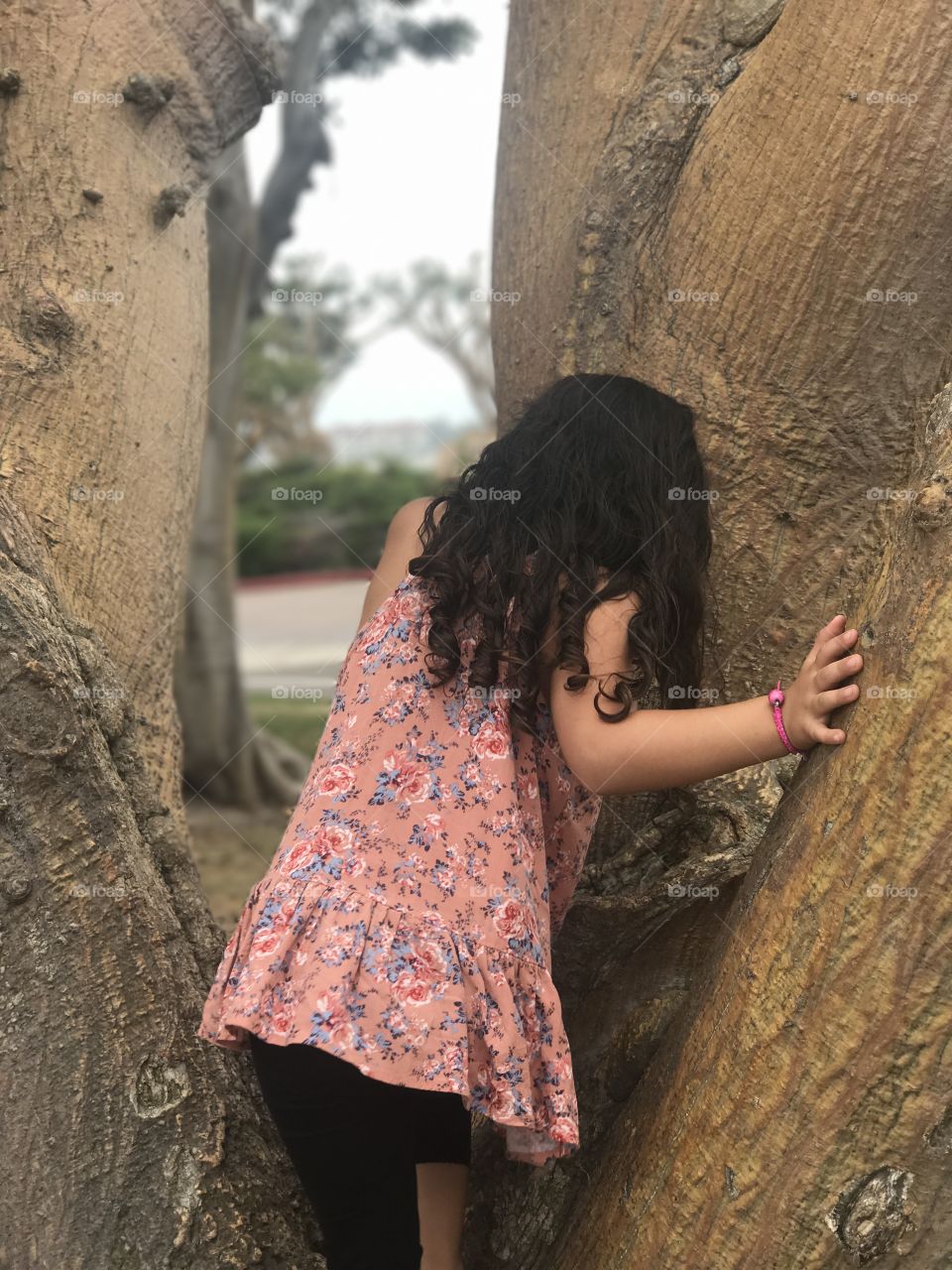 Tree climber 