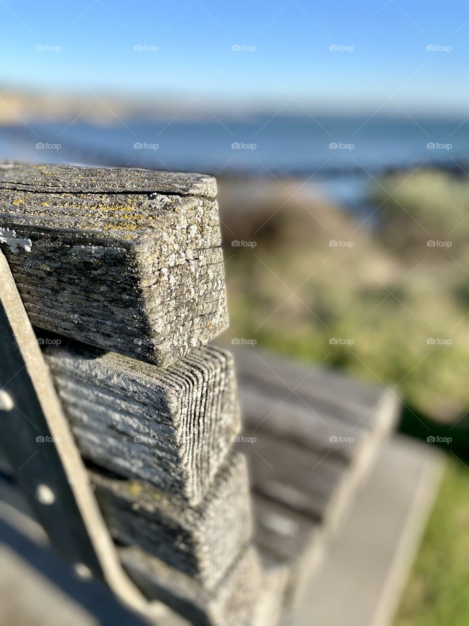 Pismo Beach Bench Detail