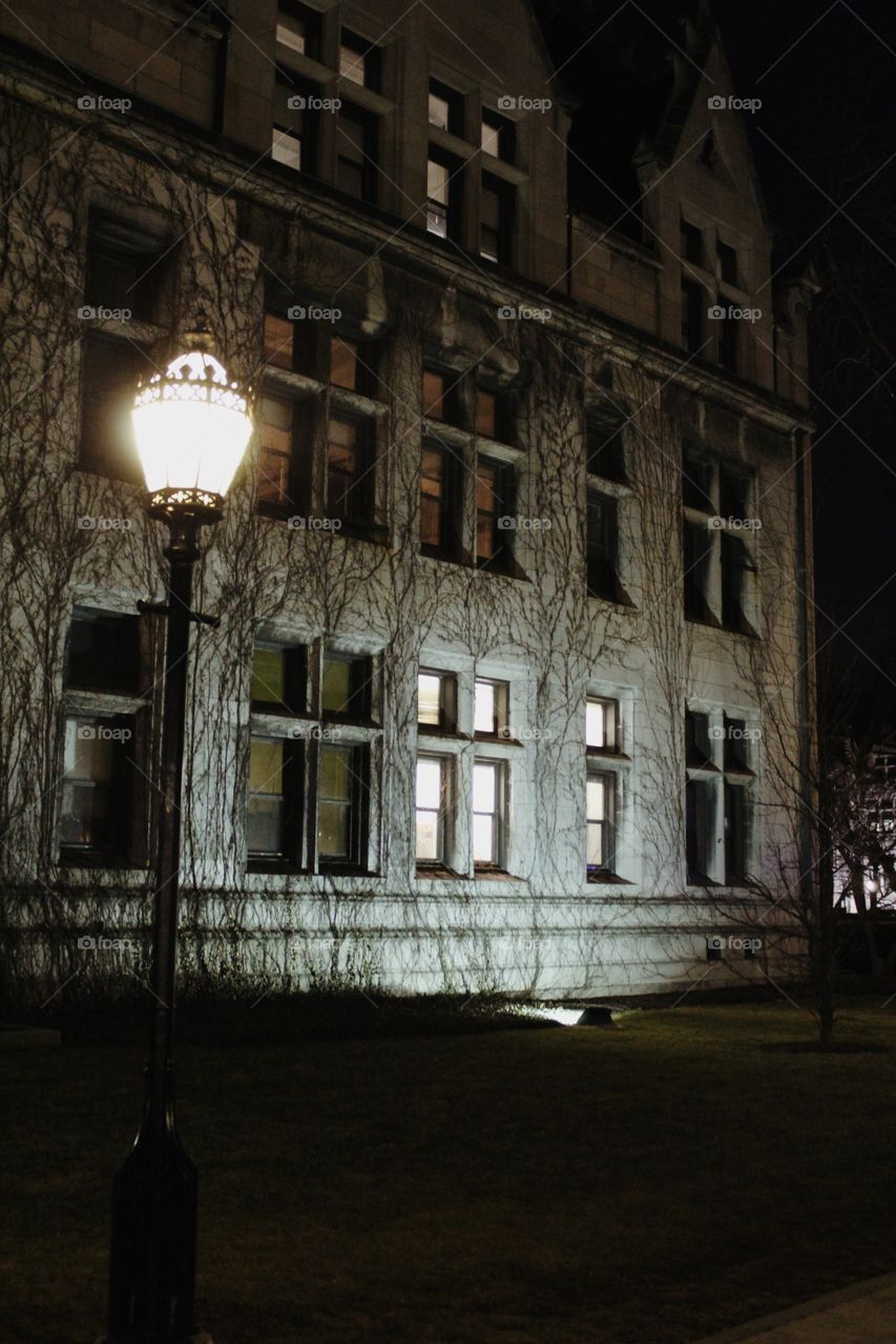 Vines at The University of Chicago