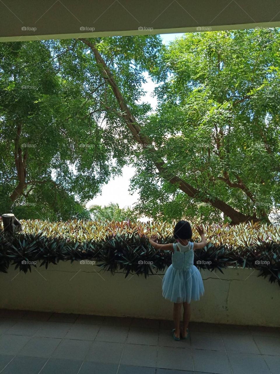 Little girl vs Big green trees