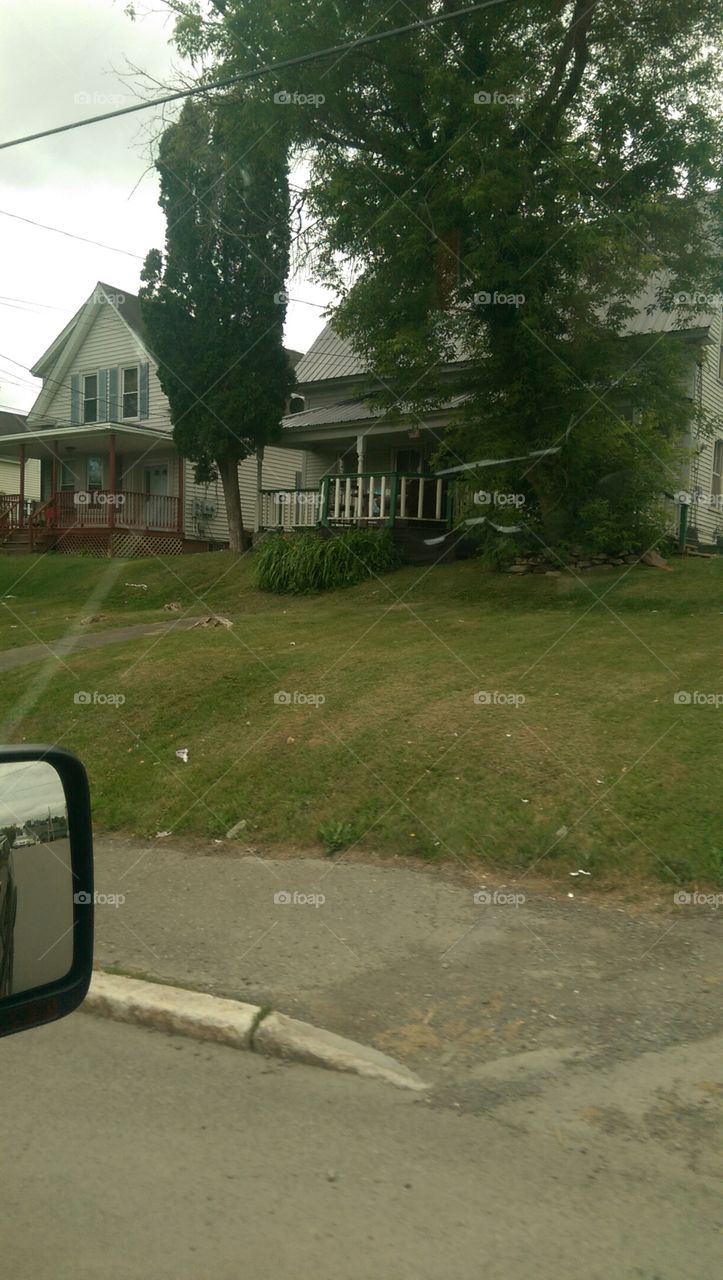 Road, No Person, Tree, Street, Guidance