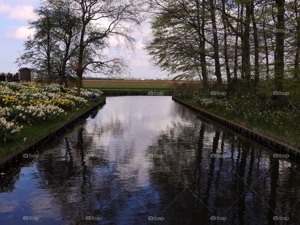 Scenic view of lake