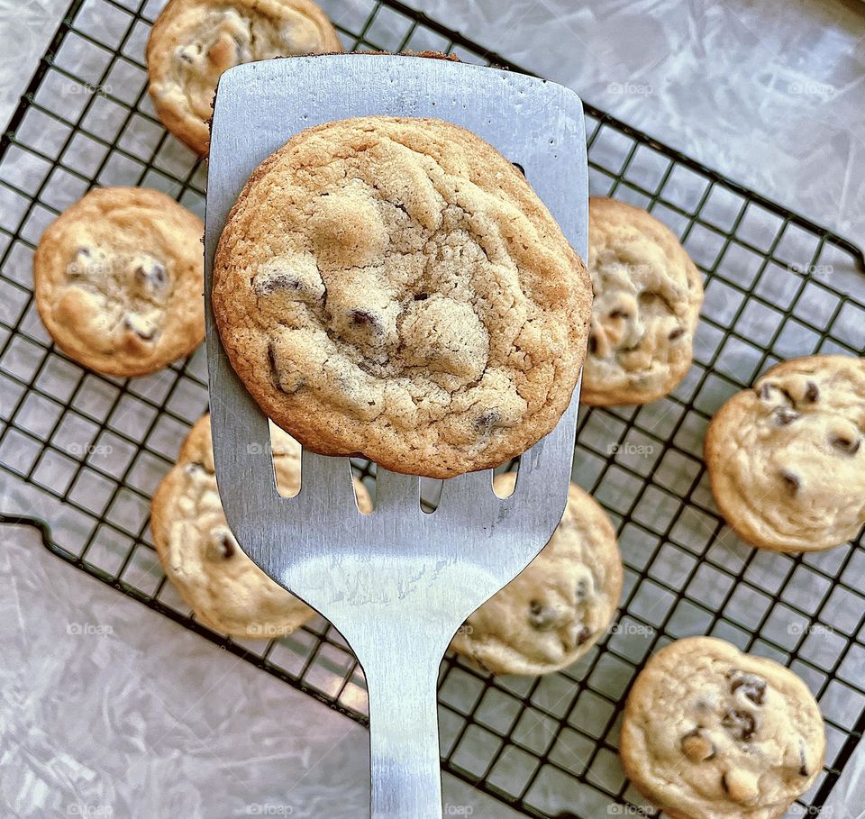 Classic chocolate chip cookie on a spatula, placing cookies on a cooling rack, baking chocolate chip cookies at home, homemade cookies straight from the oven, baking with toddlers 