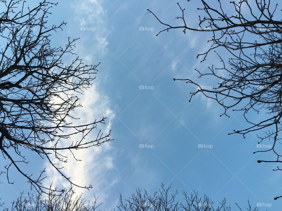 Clouds, Turin (Italy)