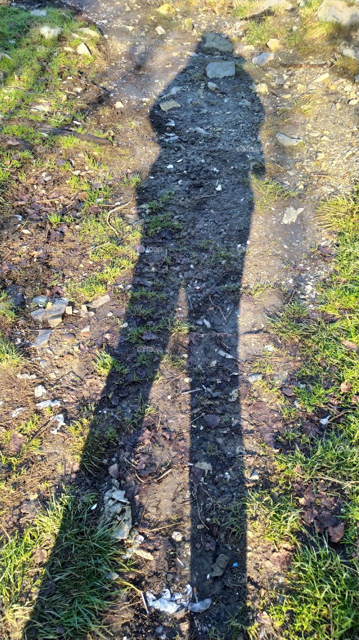 reflejo de una sombra..