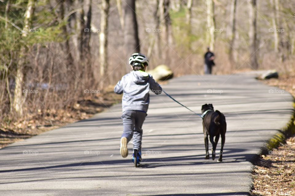 Spring time with your dog 