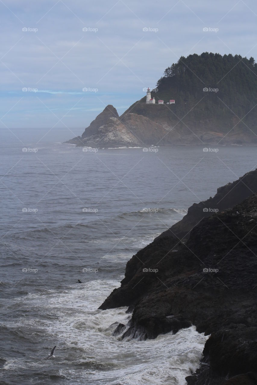 View of sea on foggy day