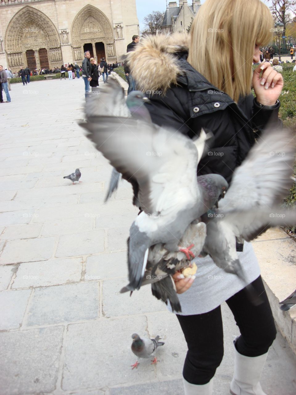 bird feeding