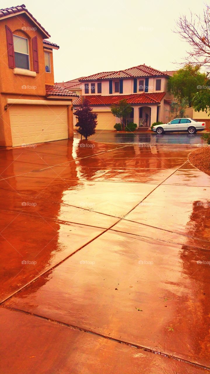 The Driveway after a Shower