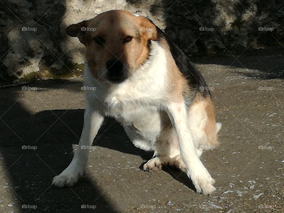 Start the game: ready, set, go