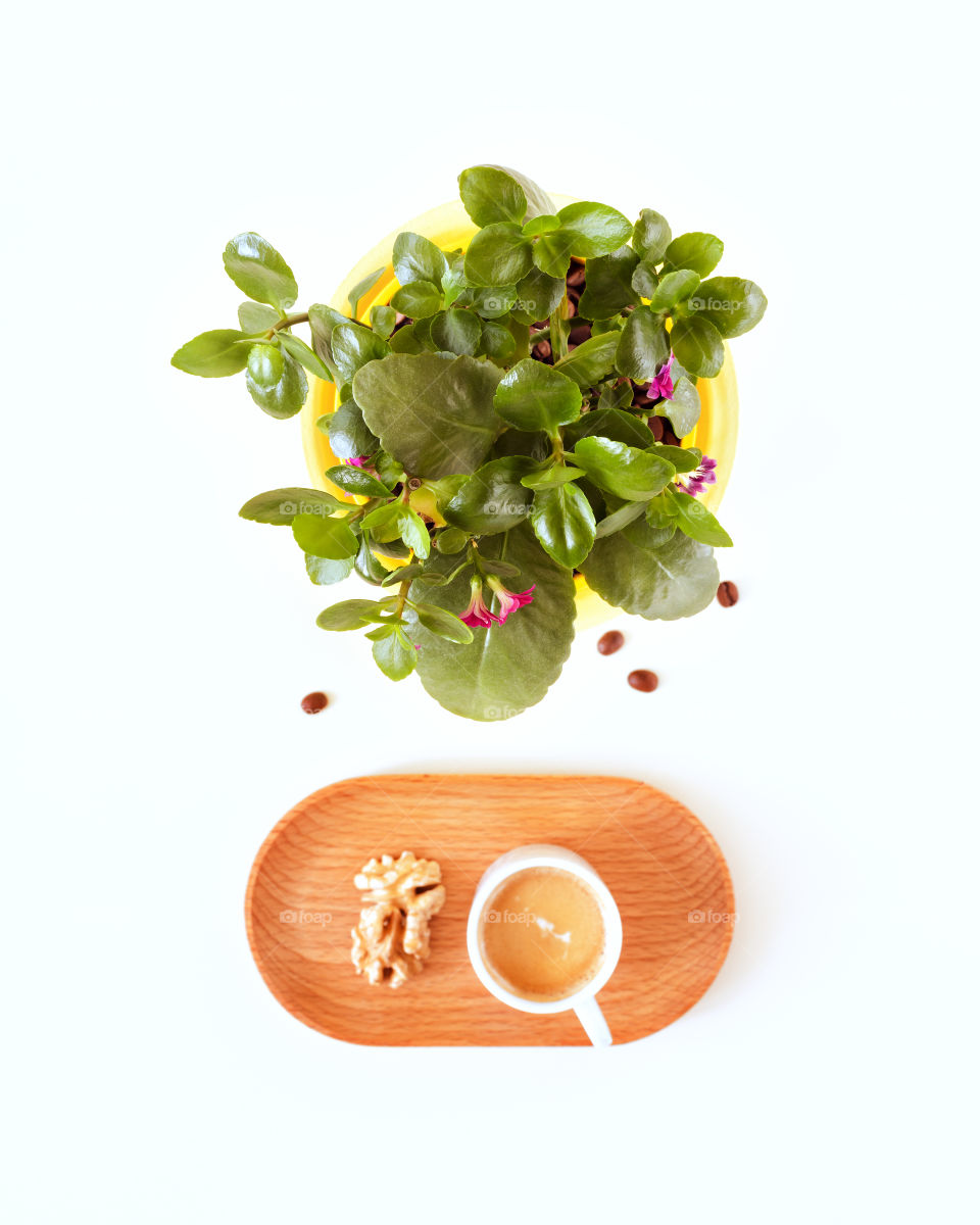 Morning composition with a kalanchoe flower and a cup of coffee. Breakfast with a houseplant and a cup of espresso. Plant parent concept, home gardening, relaxing at home. Top view, selective focus