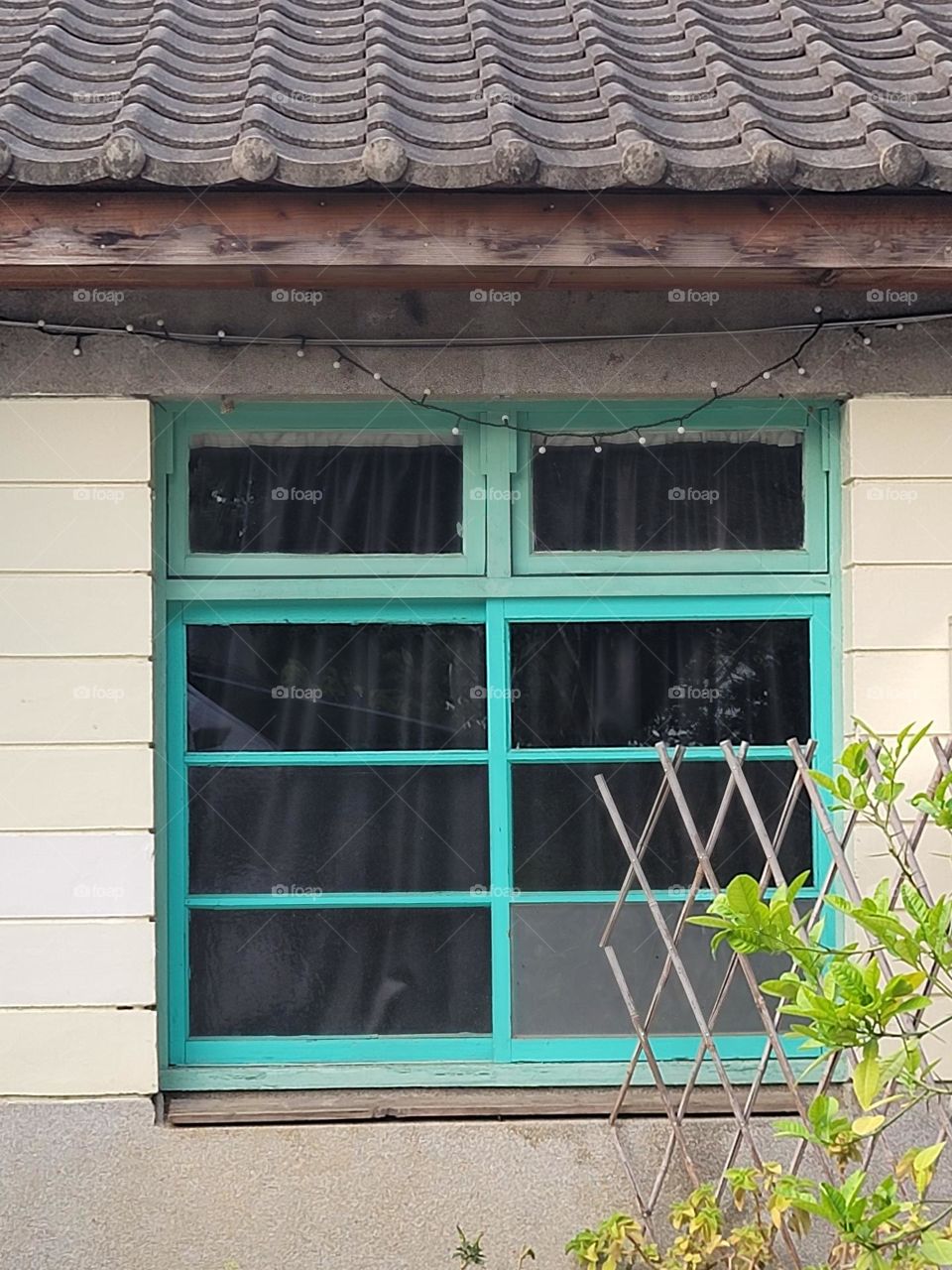 House with windows and a bamboo fence outside.