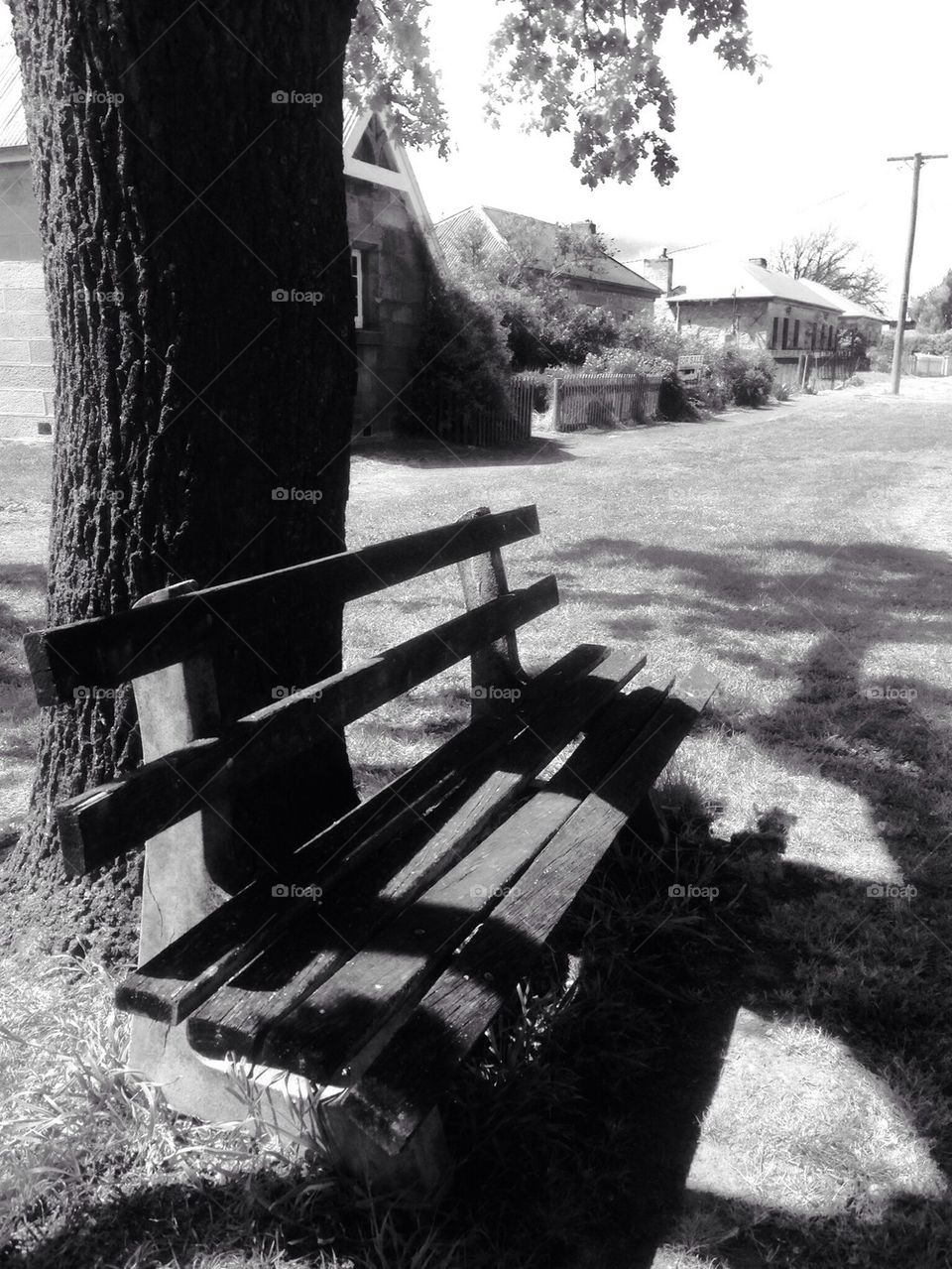 Solitary Bench