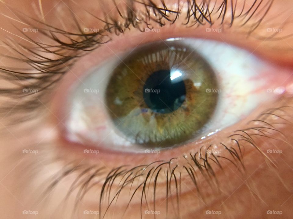 Detail of human eye