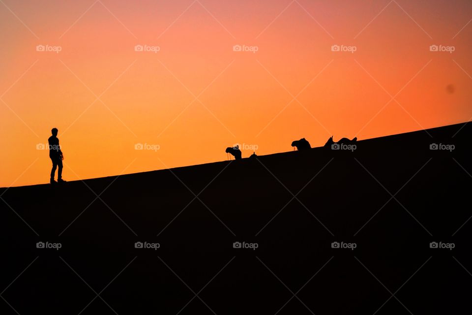 Walking through the line of life