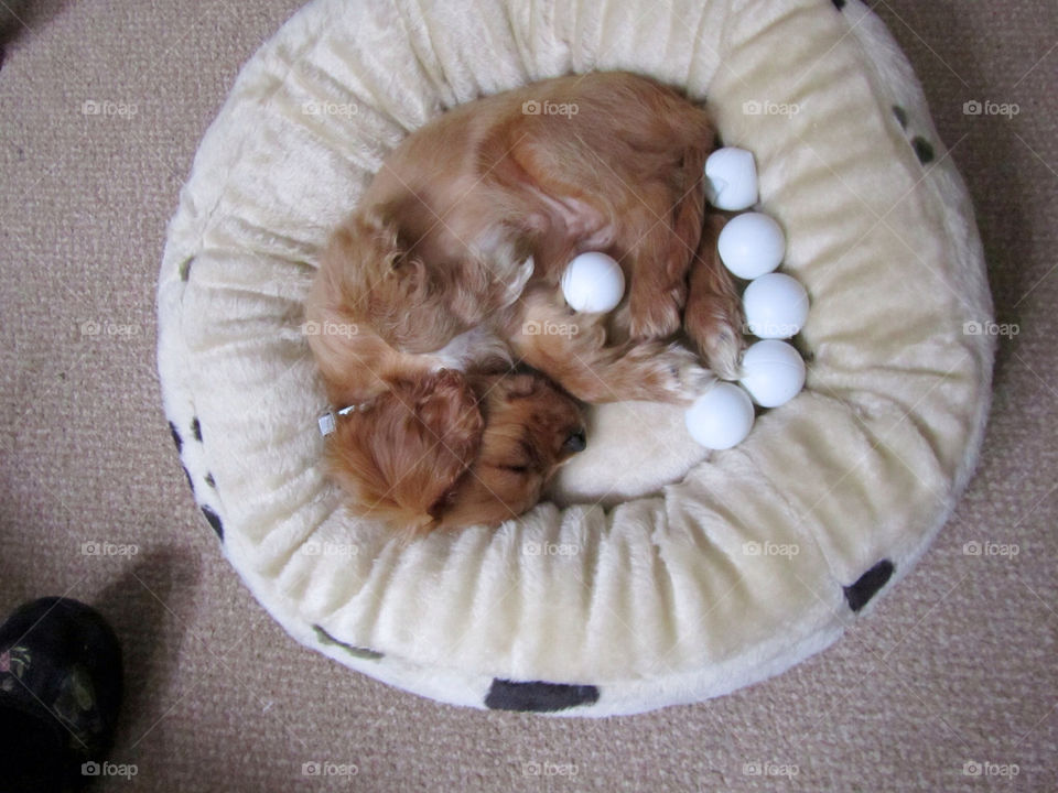 No Person, Food, One, Sweet, People