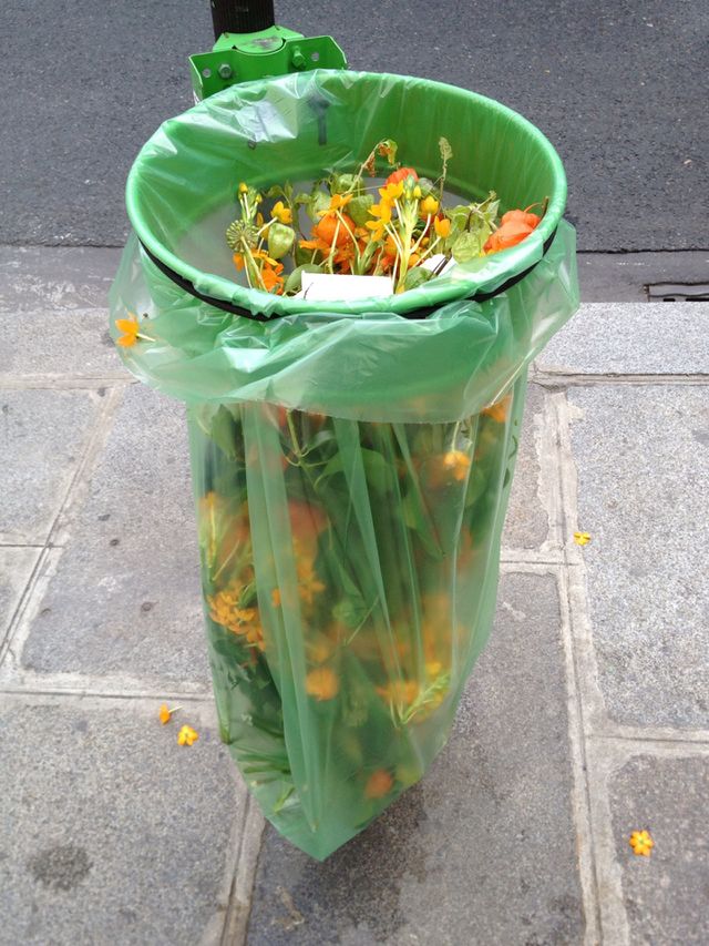Flowers in Paris 