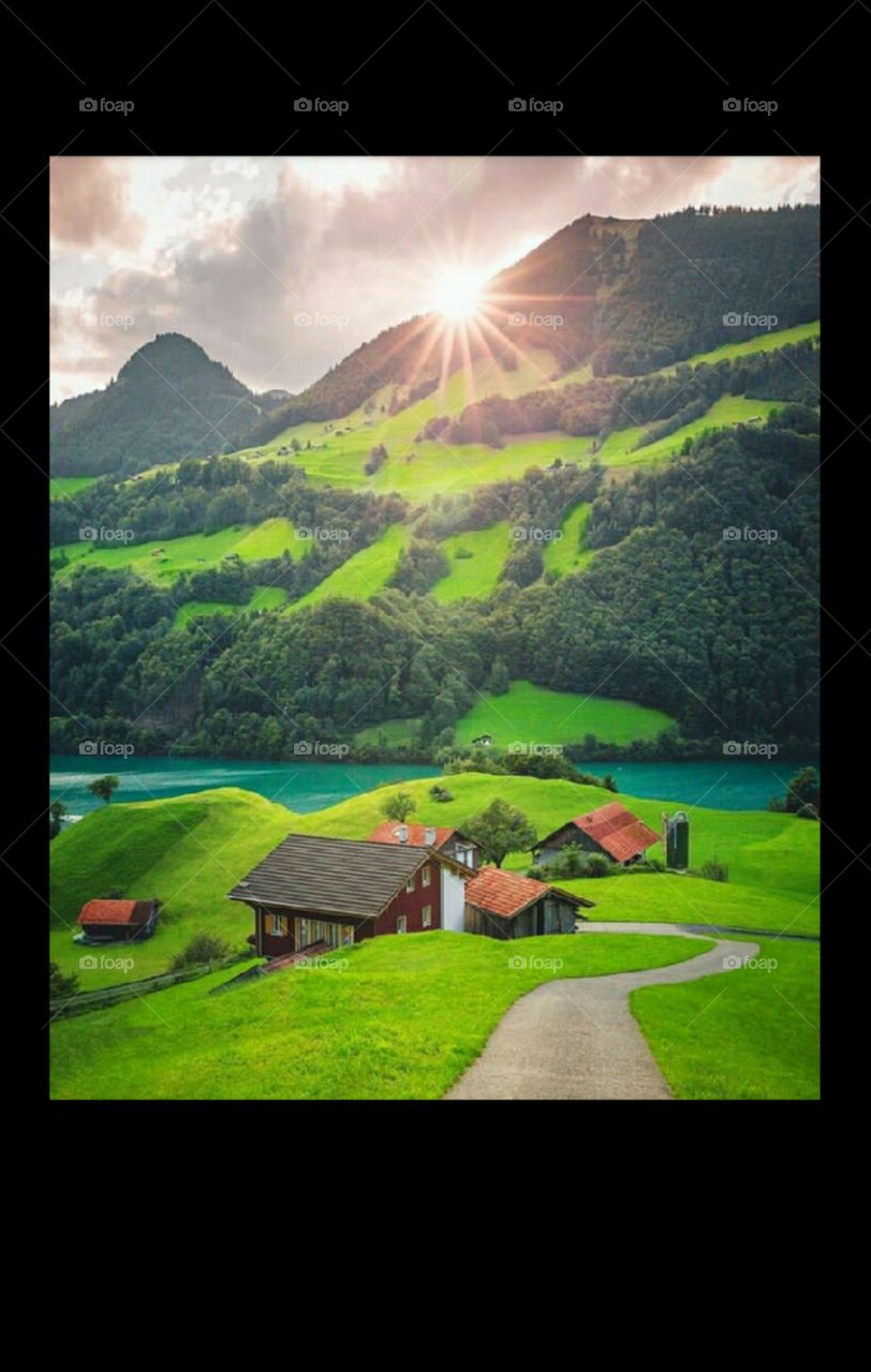 This is beautiful pictures of paradisiac Switzerland travel pictures contains hut the woods having attractive pictures of tourists place Switzerland, visitors,  sun, heaven of Earth called Switzerland, wallpaper,natural beauty honeymoon pleasant look