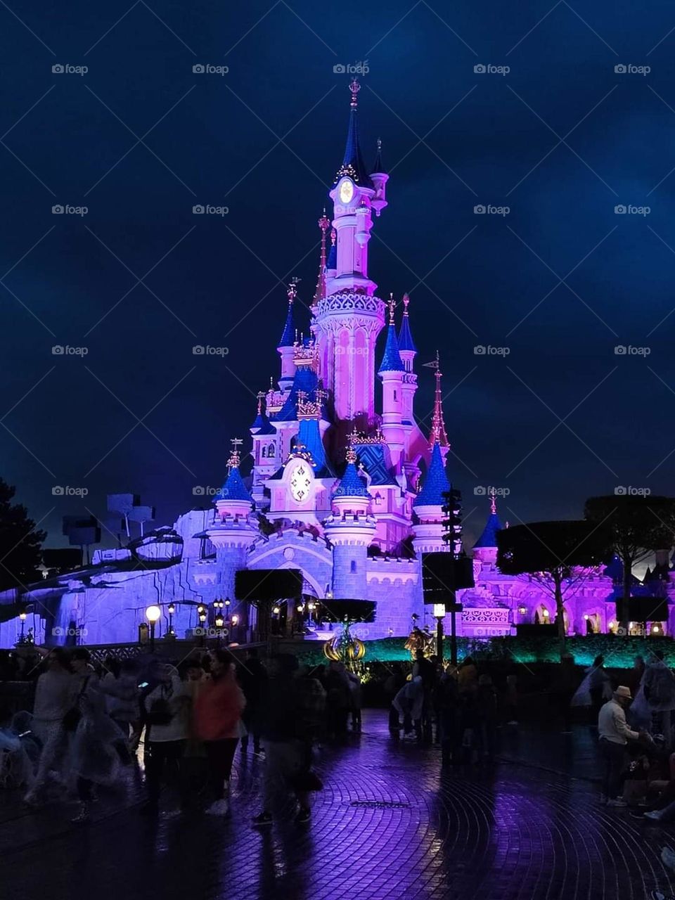 Disneyland Park Day in Paris