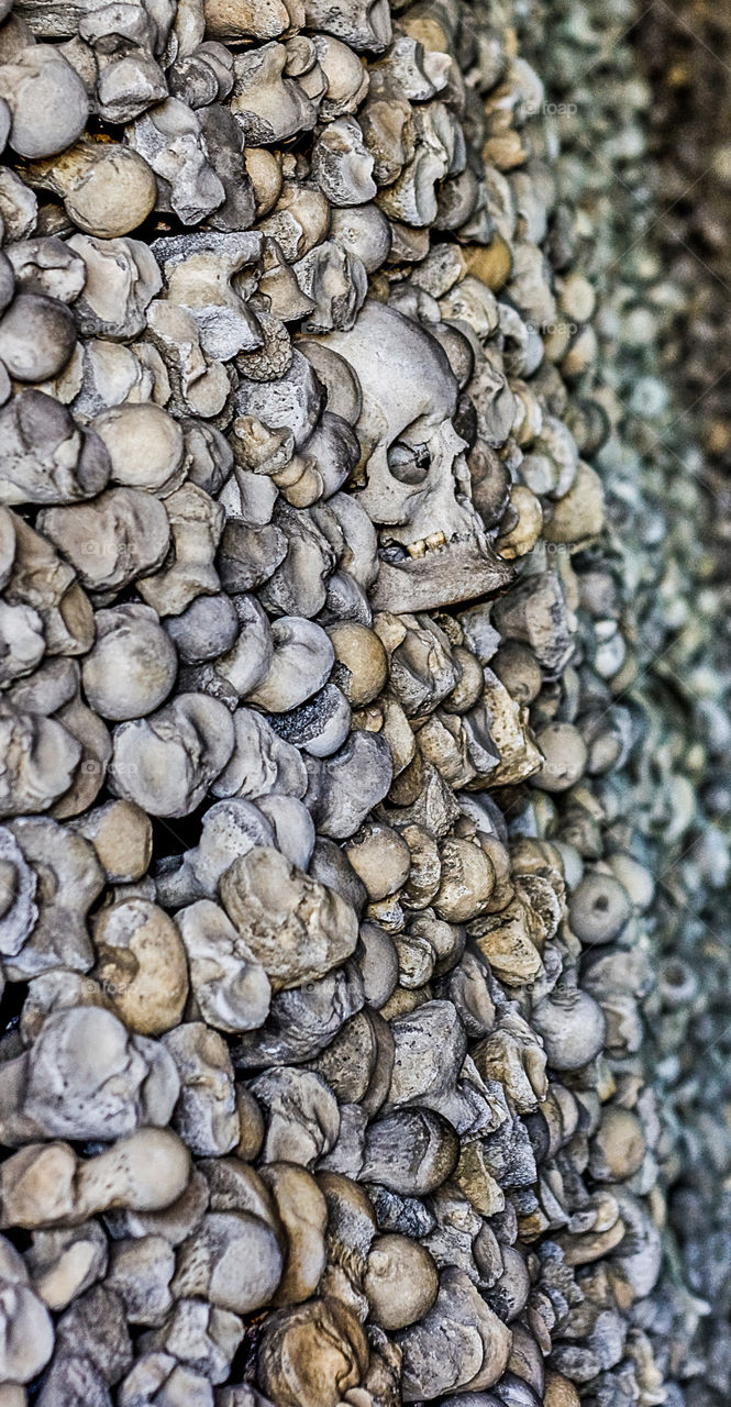 A single human skull peers eerily out of a wall of human limb bones