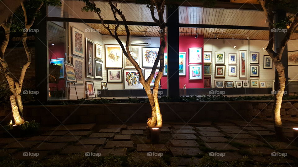 Trees shadow upon a mini art gallery