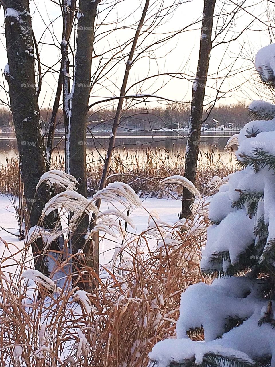 Early winter