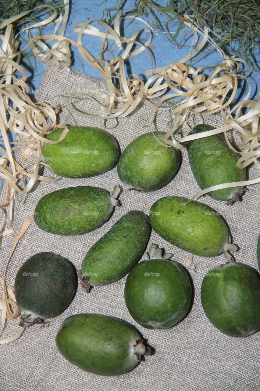 Feijoa