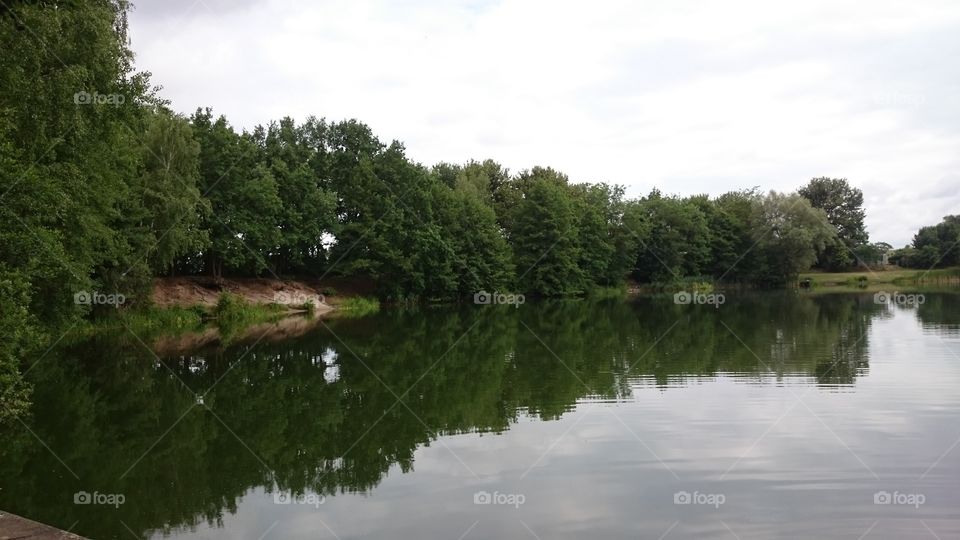 trees and sky reflecting in a lake