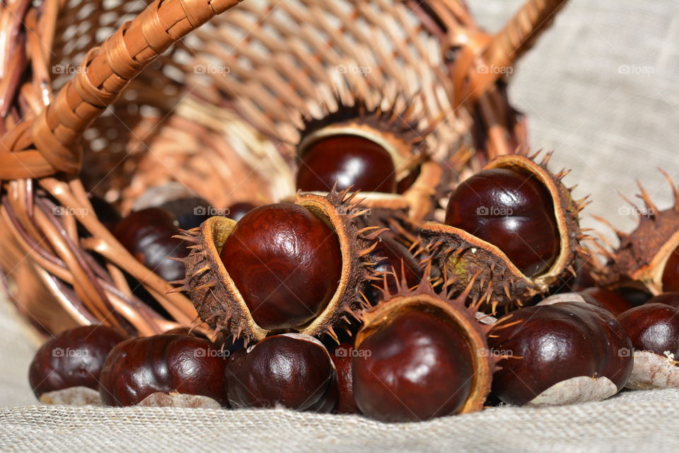chestnuts in the wooden basket