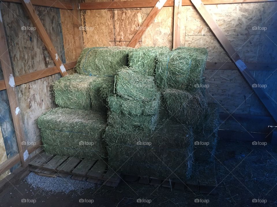 Hay stack