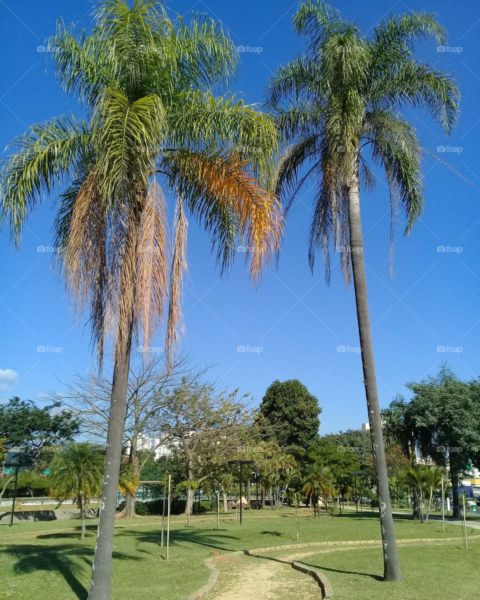 Um minuto "fora da caixa" para espairecer...
A #natureza faz com que nossa mente sempre possa relaxar ou motivar! 
E nosso céu azul caipira de #Jundiaí?