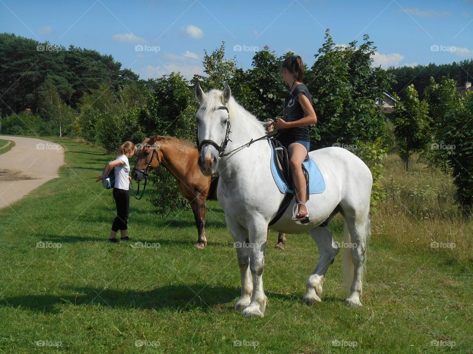 people on a horses beautiful summer landscape