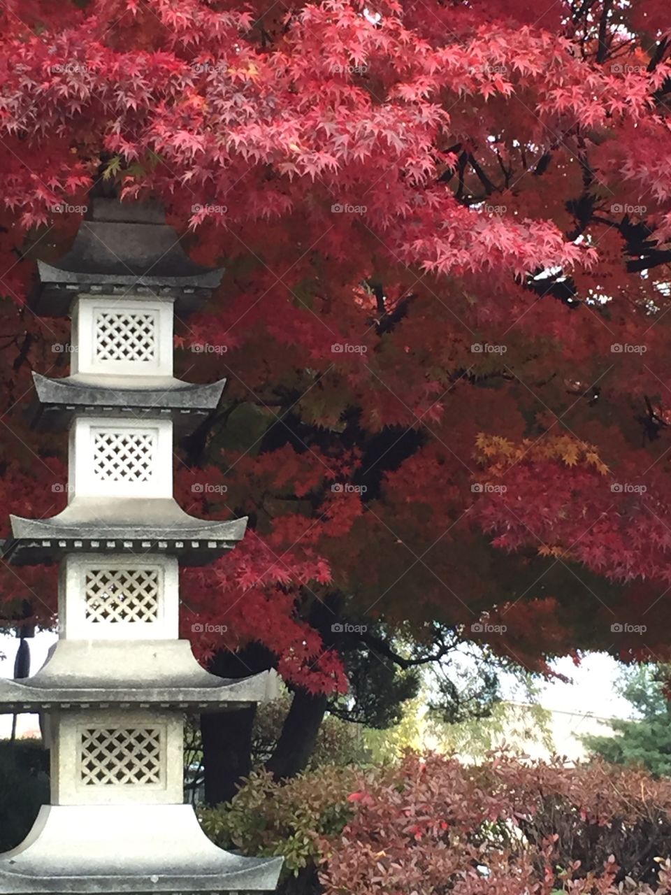 Autumn in South Korea. This photo was taken at the entrance to a forest in near Pyeongtaek, South Korea. 