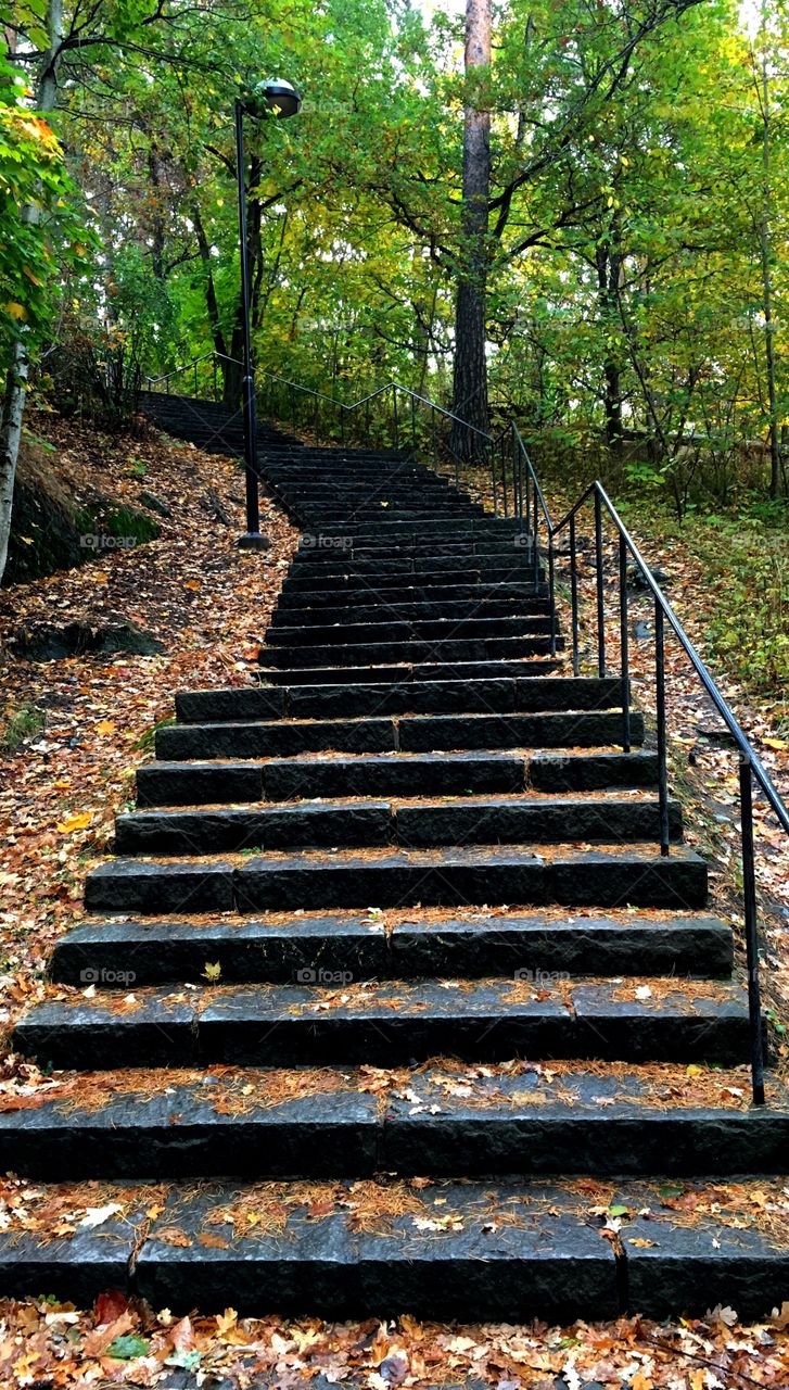 Autumn leafs on steps