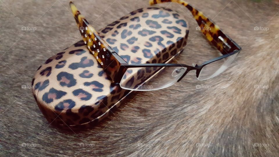 animal print glasses