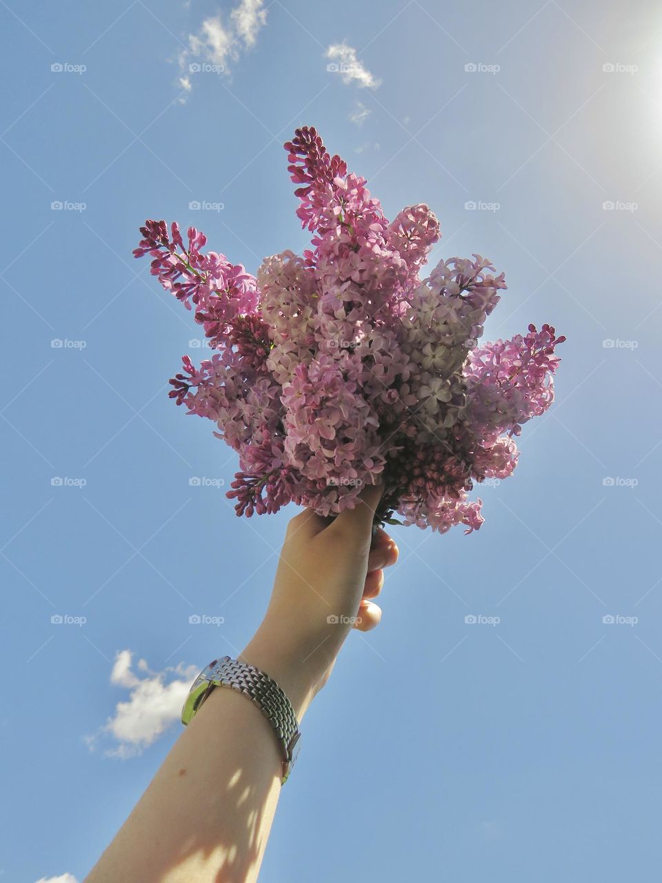 Bouquet of Lilacs