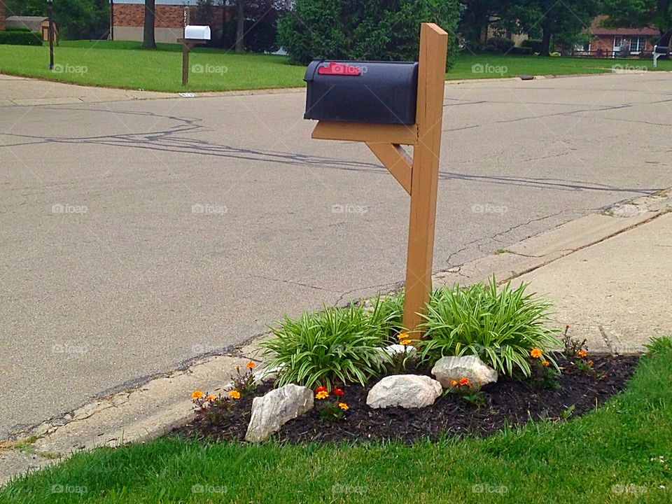 Mail box. Mail box and plants