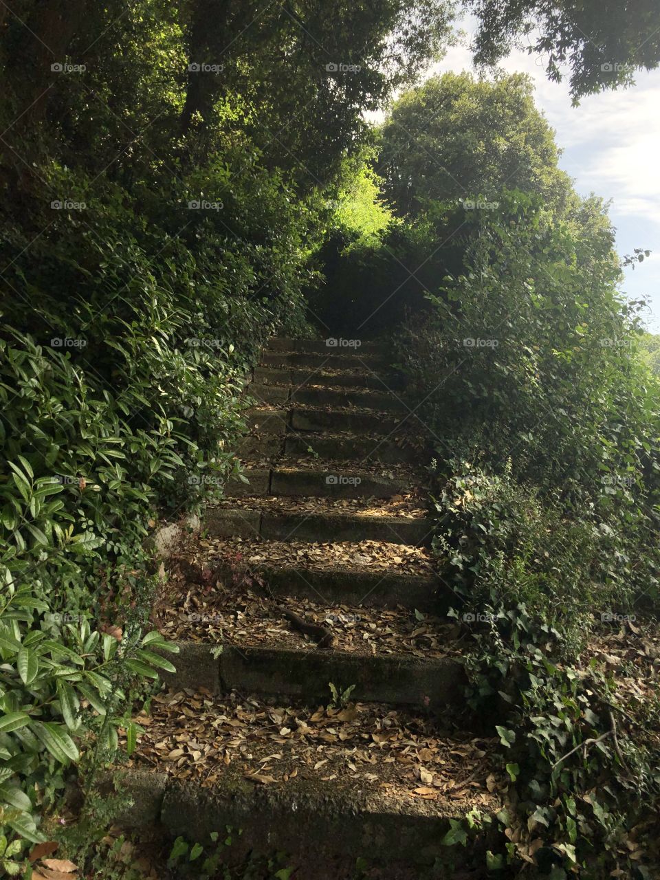 A grand set f steps leading into some urban countryside in Devon, UK