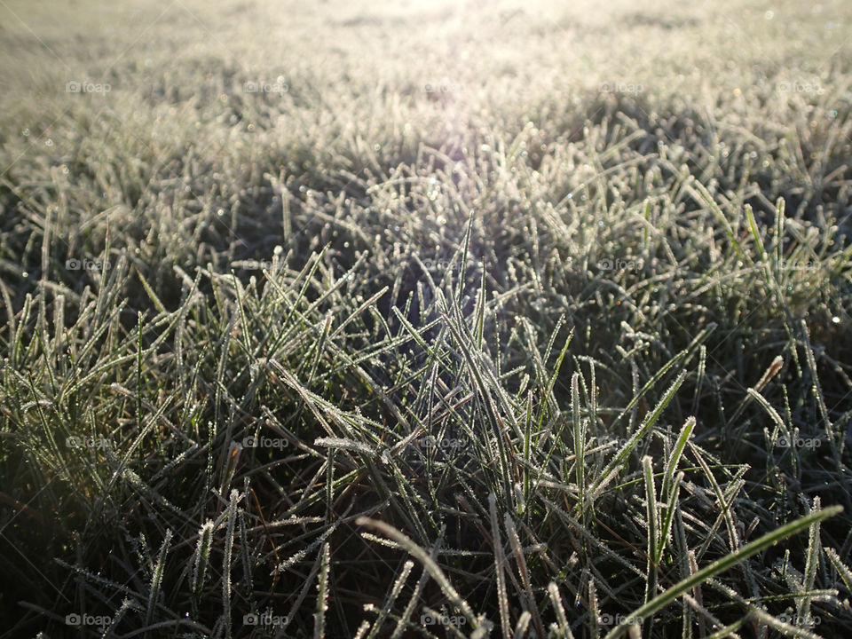 How beautiful the nature can be in every way