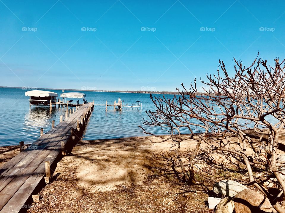 Gorgeous sites seen out for morning walk while trying to take in what nature all has to offer! 