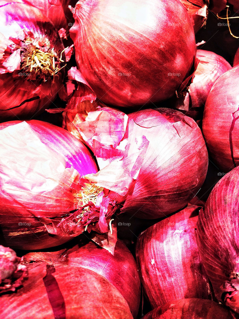 Fresh organic red onions